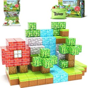 Magnetic Toys for Boys & Girls Age
