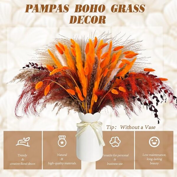 Pampas Grass - Image 5