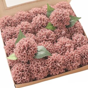 Dahlia Flowers