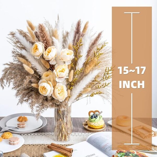 Grass Decor |Dried pompas - Image 4