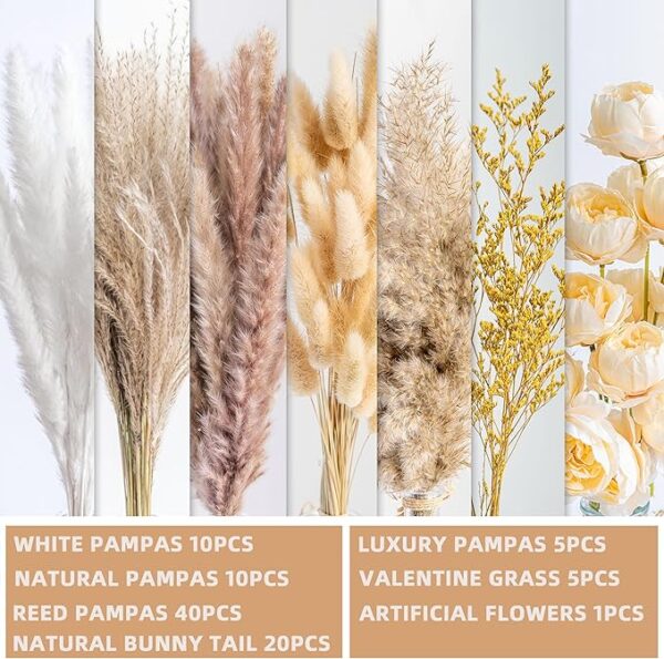 Grass Decor |Dried pompas - Image 3