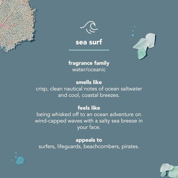 Men Body Wash, Sea + Surf - Image 2